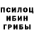 Псилоцибиновые грибы GOLDEN TEACHER Da Dasslo