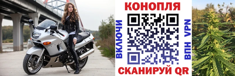 Каннабис план  купить наркотики сайты  Тобольск 